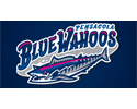 Pensacola Blue Wahoos Baseball Team